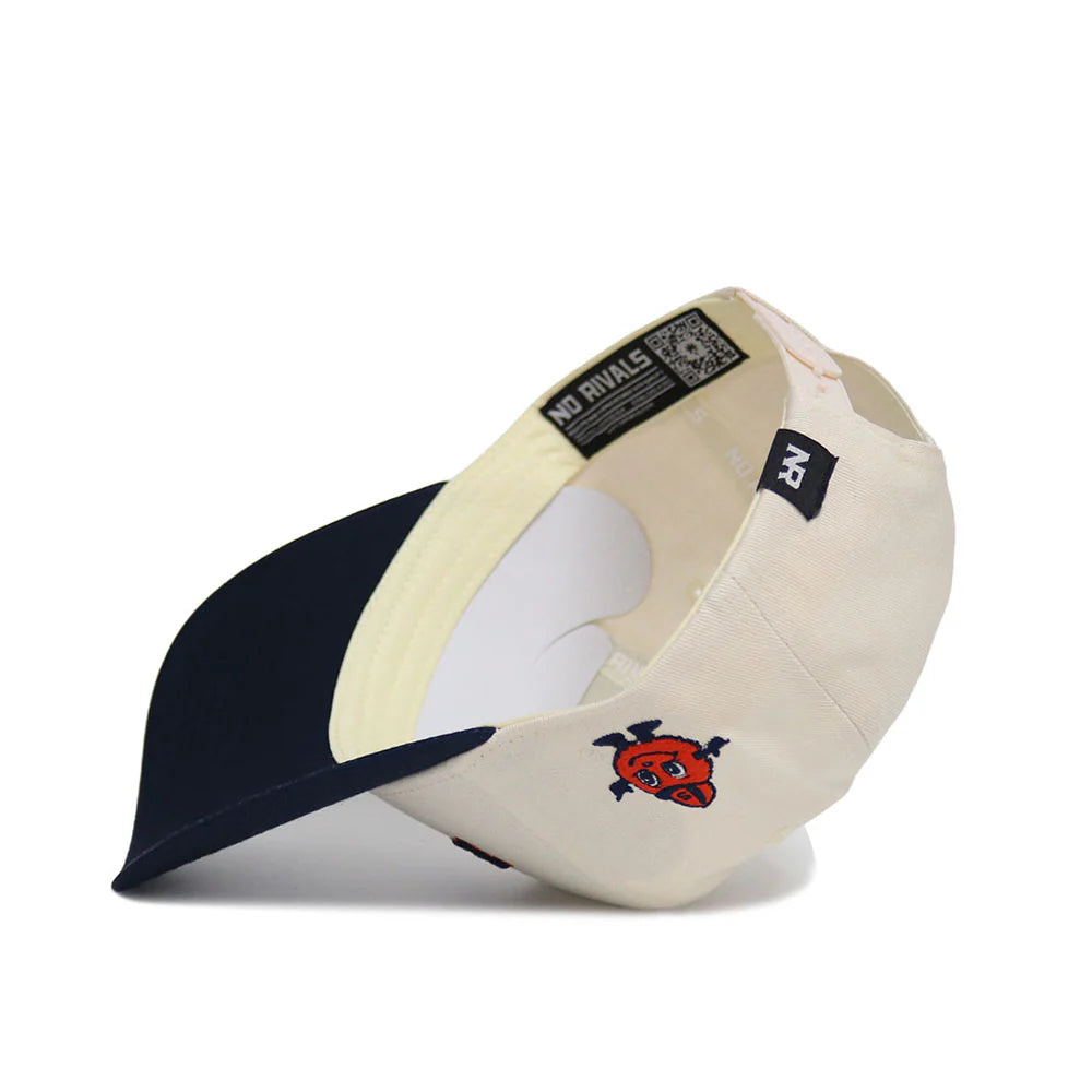 Upside Down Syracuse Hat