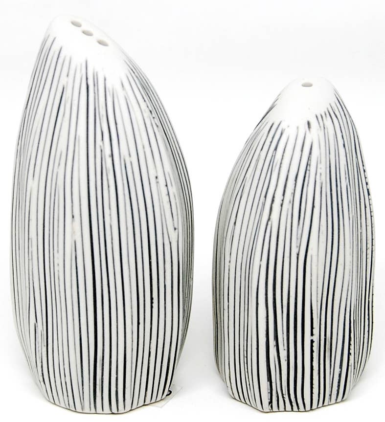 Salt & Pepper Shaker