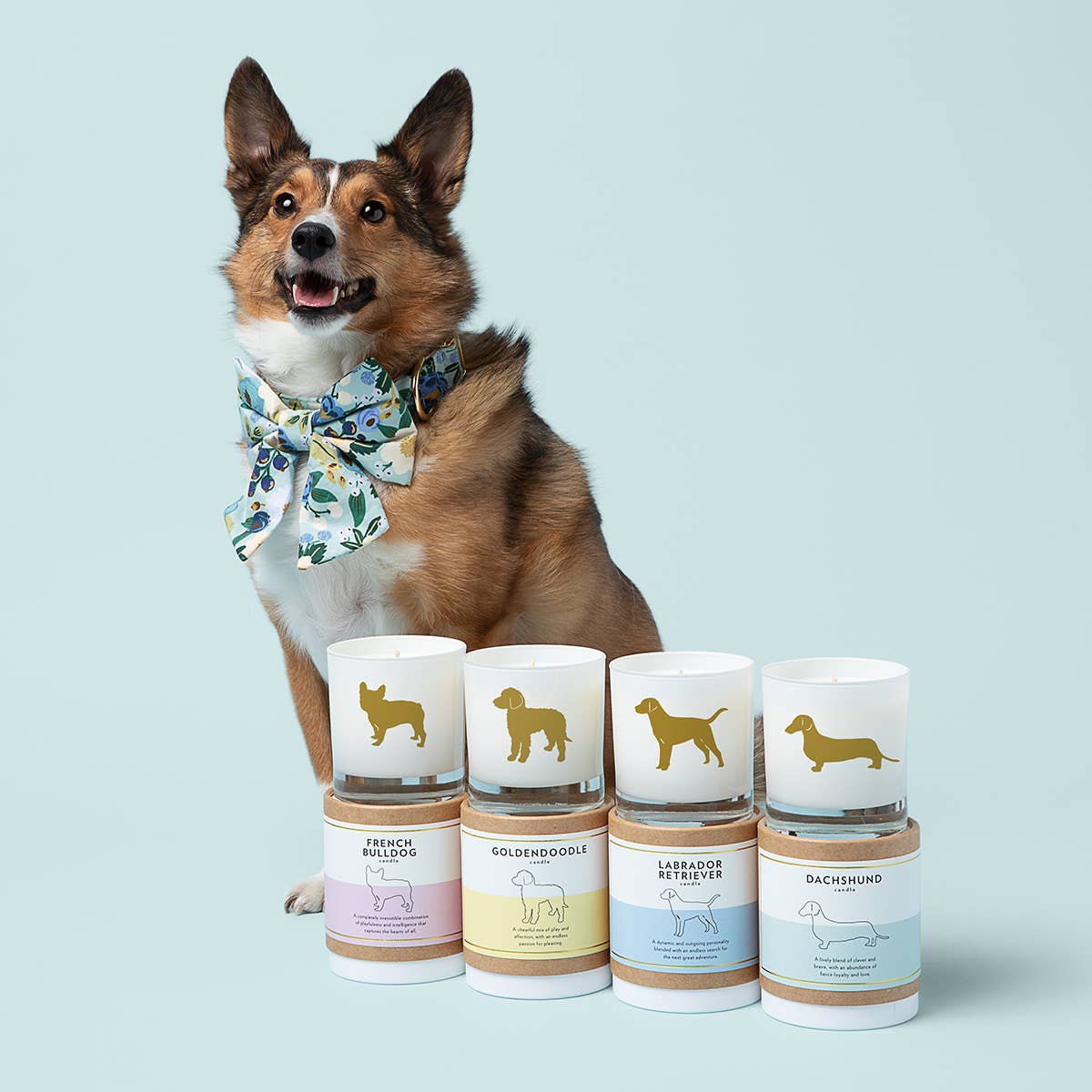 Rescue Dog Breed Soy Candle: Reusable Rocks Glass