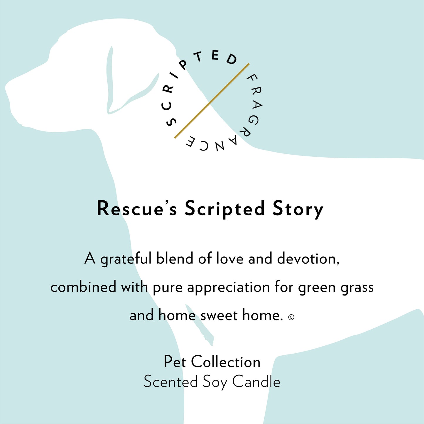 Rescue Dog Breed Soy Candle: Reusable Rocks Glass