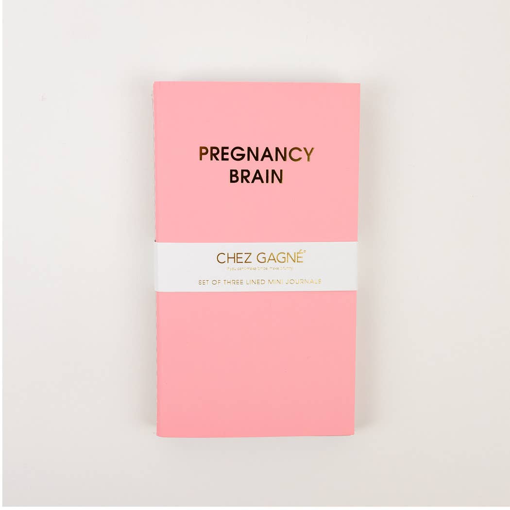 Mom Brain Mini Journal