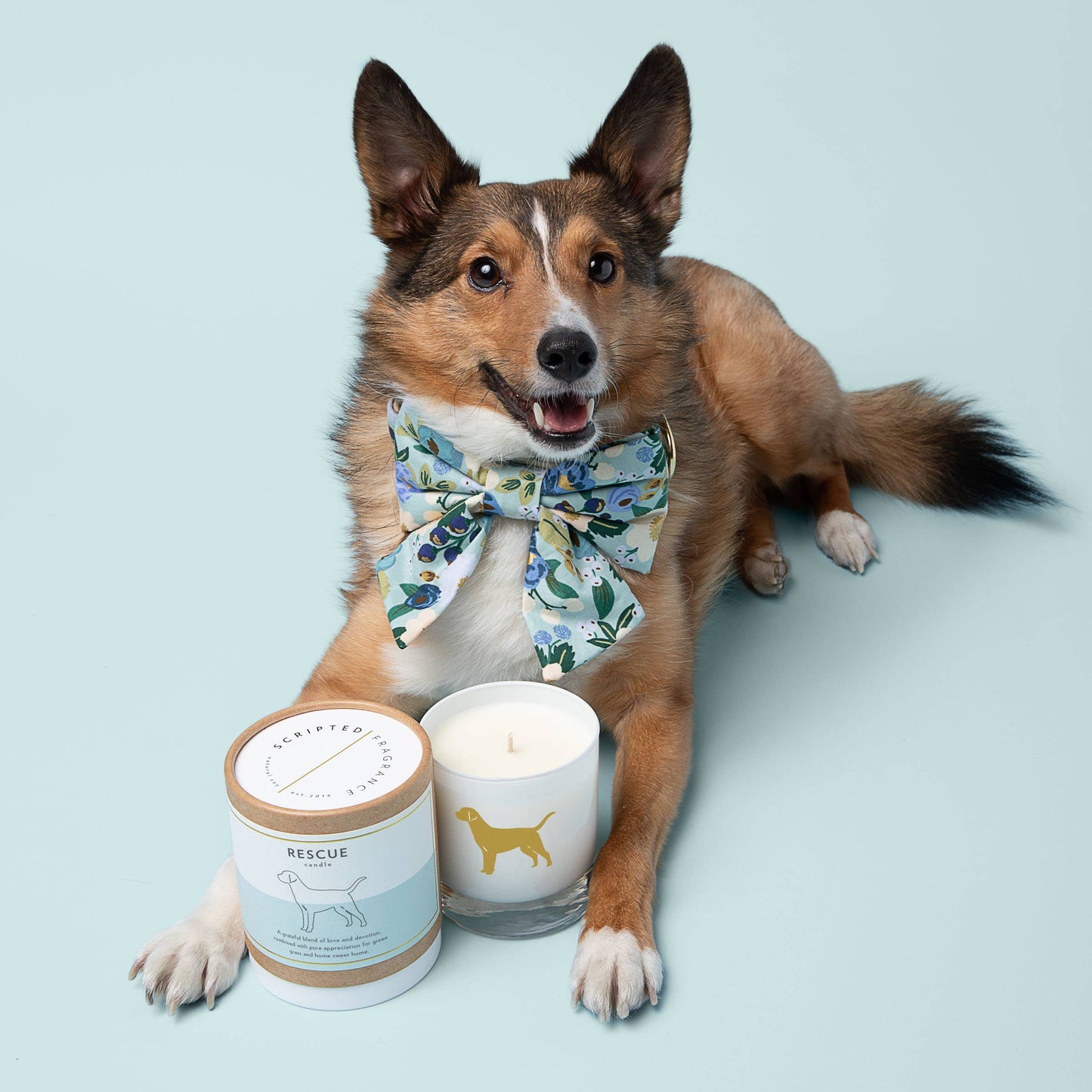 Rescue Dog Breed Soy Candle: Reusable Rocks Glass