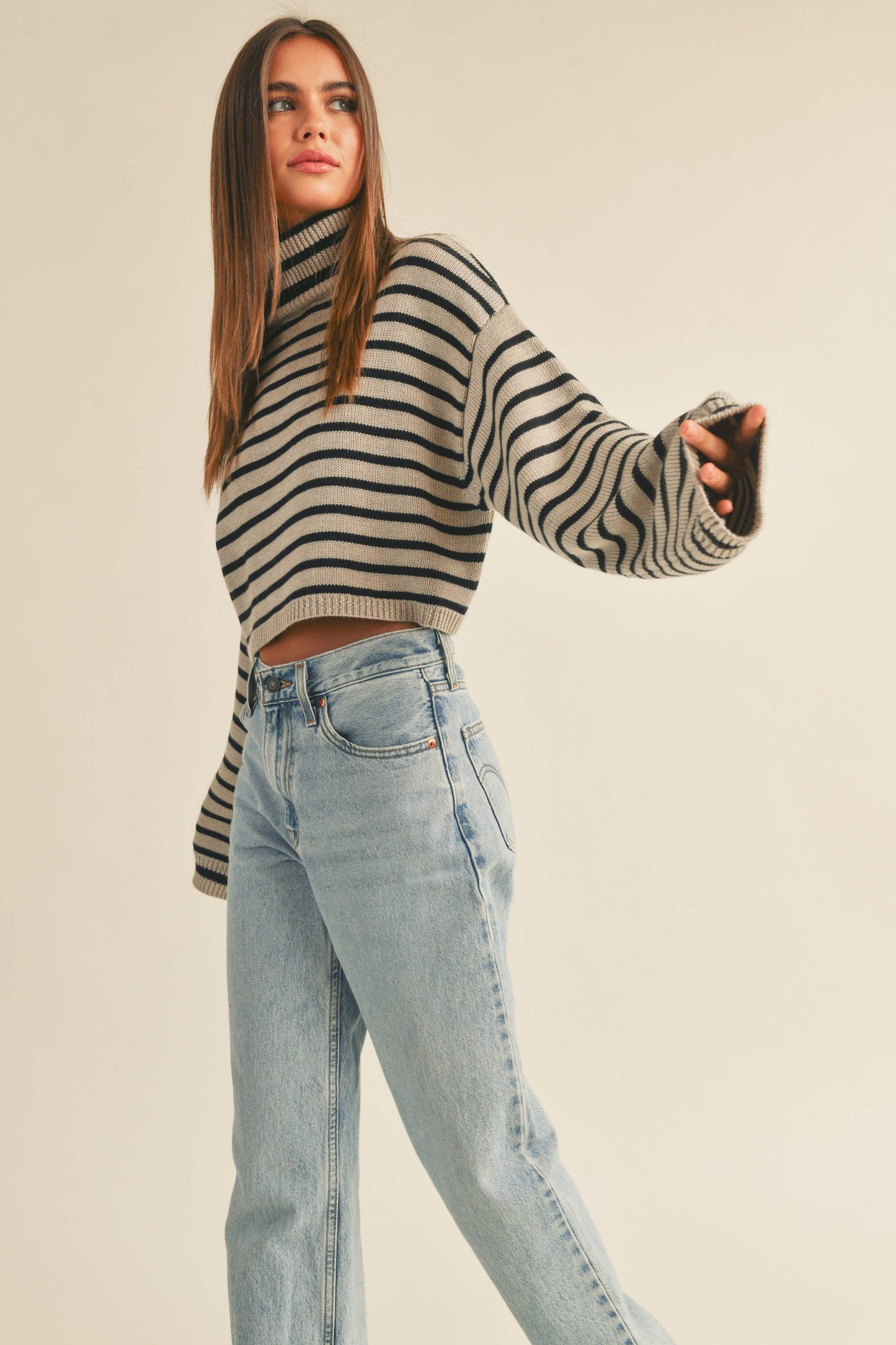 Striped Turtleneck Crop Sweater