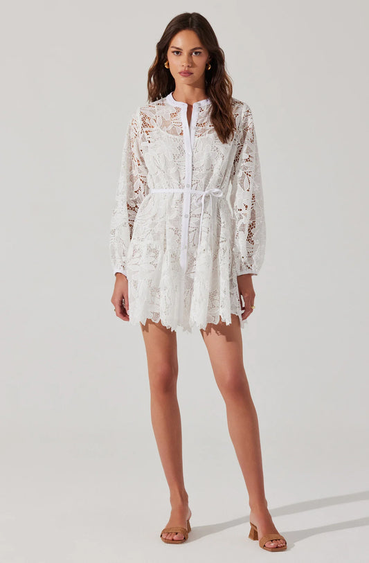 Celie Crochet Lace Mini Dress